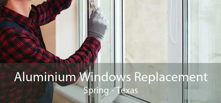 Aluminium Windows Replacement Spring - Texas