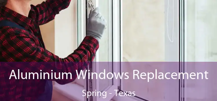 Aluminium Windows Replacement Spring - Texas