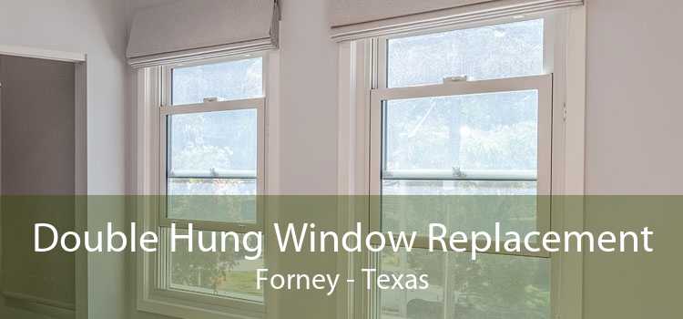 Double Hung Window Replacement Forney - Texas