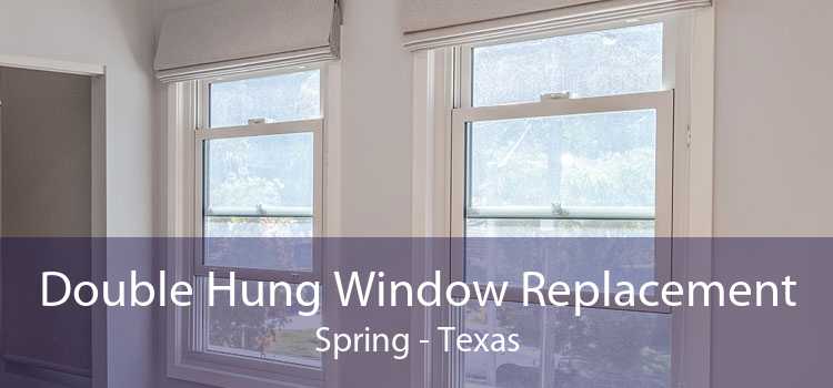 Double Hung Window Replacement Spring - Texas