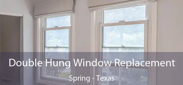 Double Hung Window Replacement Spring - Texas
