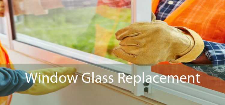 Window Glass Replacement 