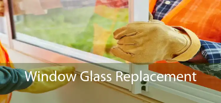 Window Glass Replacement