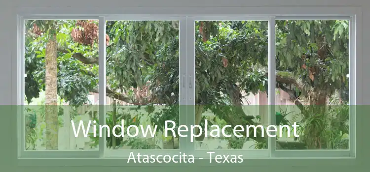Window Replacement Atascocita - Texas