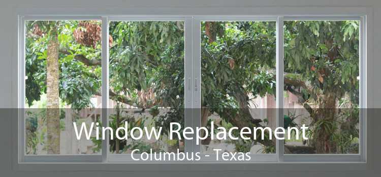 Window Replacement Columbus - Texas