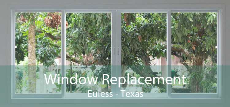 Window Replacement Euless - Texas