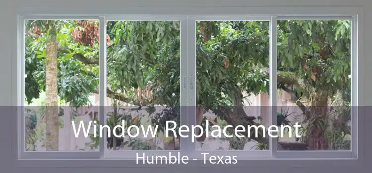 Window Replacement Humble - Texas