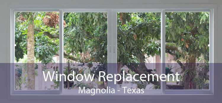 Window Replacement Magnolia - Texas