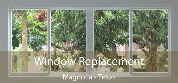 Window Replacement Magnolia - Texas