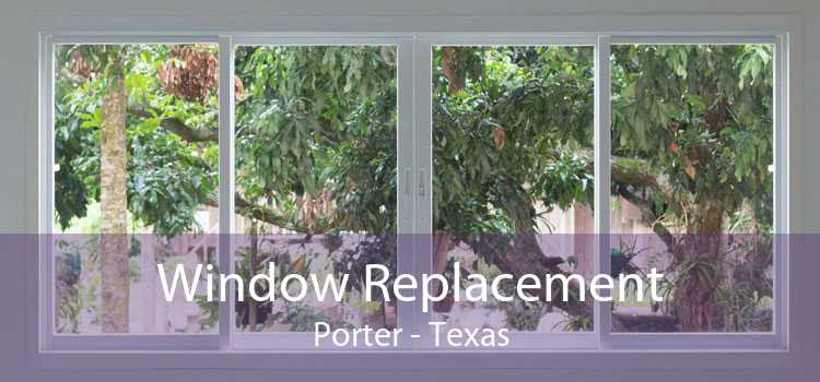 Window Replacement Porter - Texas