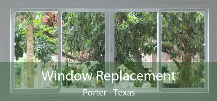 Window Replacement Porter - Texas