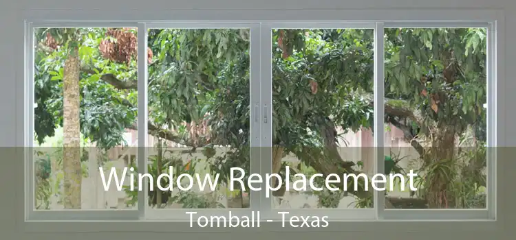 Window Replacement Tomball - Texas