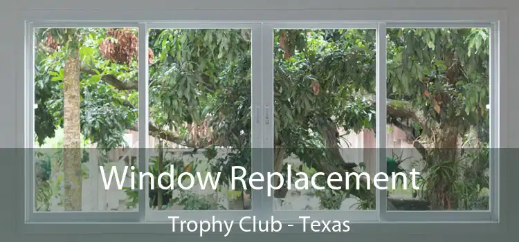 Window Replacement Trophy Club - Texas