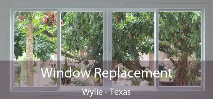 Window Replacement Wylie - Texas