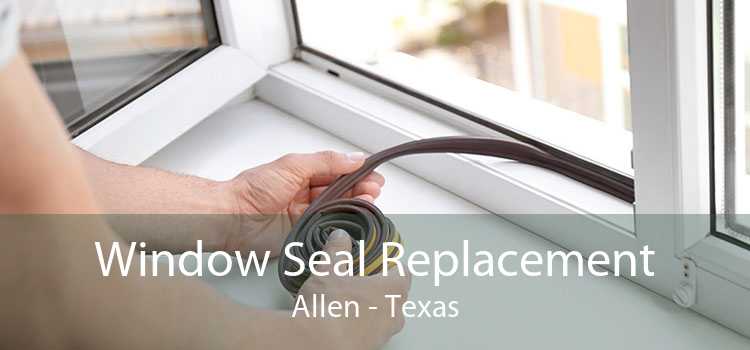 Window Seal Replacement Allen - Texas