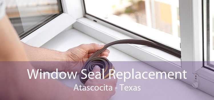 Window Seal Replacement Atascocita - Texas