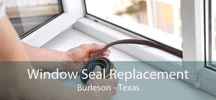 Window Seal Replacement Burleson - Texas