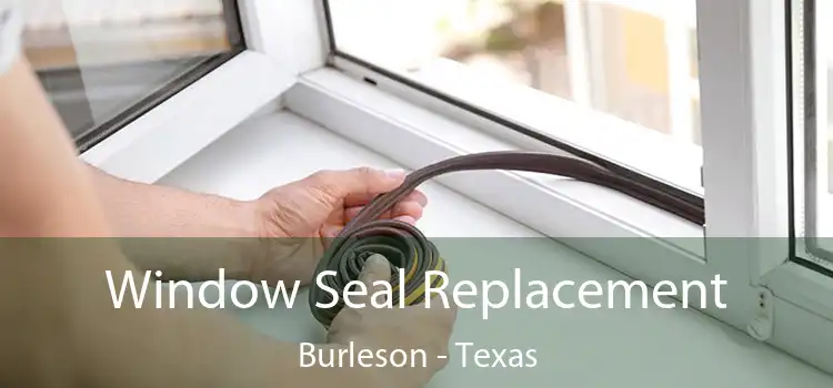Window Seal Replacement Burleson - Texas