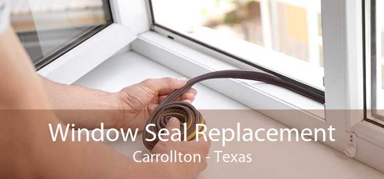 Window Seal Replacement Carrollton - Texas