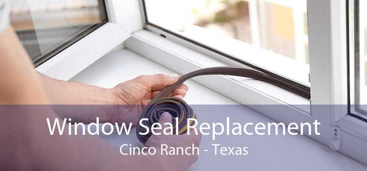 Window Seal Replacement Cinco Ranch - Texas