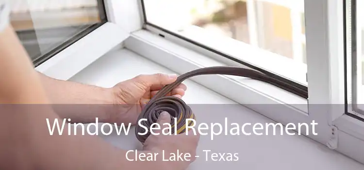 Window Seal Replacement Clear Lake - Texas