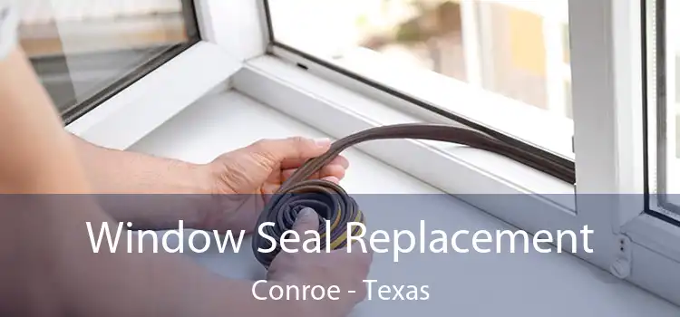 Window Seal Replacement Conroe - Texas