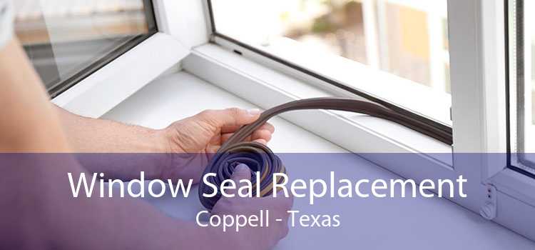Window Seal Replacement Coppell - Texas