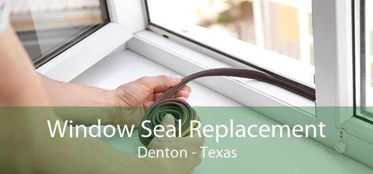 Window Seal Replacement Denton - Texas