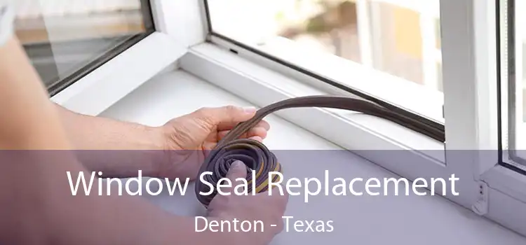 Window Seal Replacement Denton - Texas
