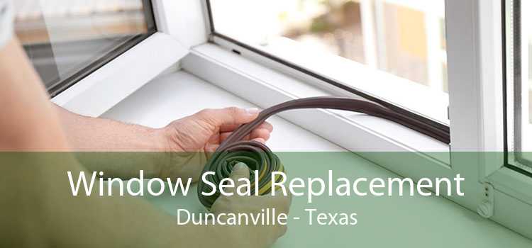 Window Seal Replacement Duncanville - Texas