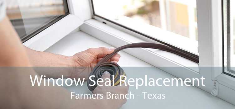 Window Seal Replacement Farmers Branch - Texas