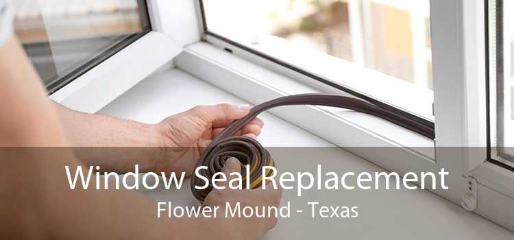 Window Seal Replacement Flower Mound - Texas