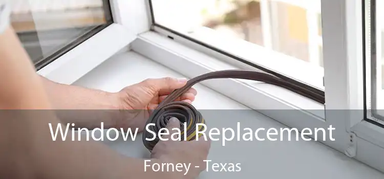 Window Seal Replacement Forney - Texas