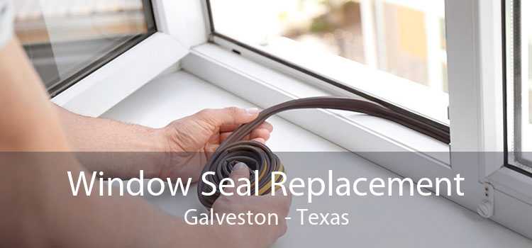 Window Seal Replacement Galveston - Texas