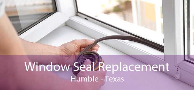 Window Seal Replacement Humble - Texas
