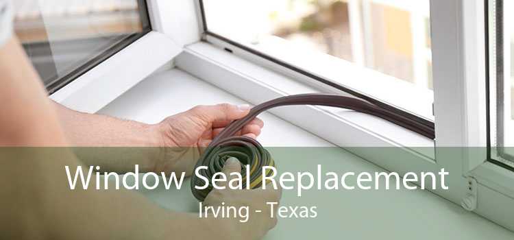 Window Seal Replacement Irving - Texas
