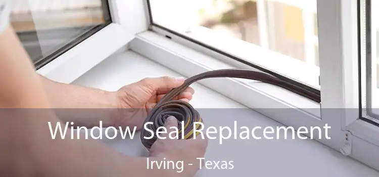 Window Seal Replacement Irving - Texas