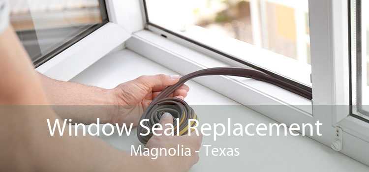 Window Seal Replacement Magnolia - Texas