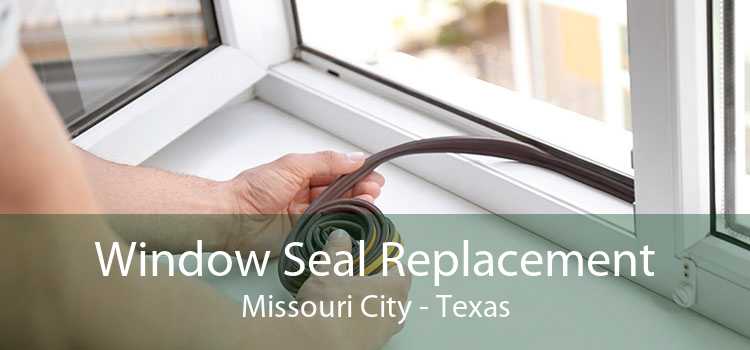 Window Seal Replacement Missouri City - Texas
