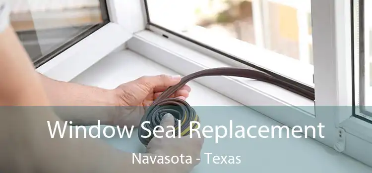 Window Seal Replacement Navasota - Texas