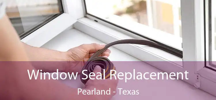 Window Seal Replacement Pearland - Texas