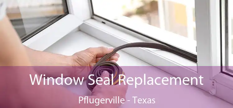 Window Seal Replacement Pflugerville - Texas