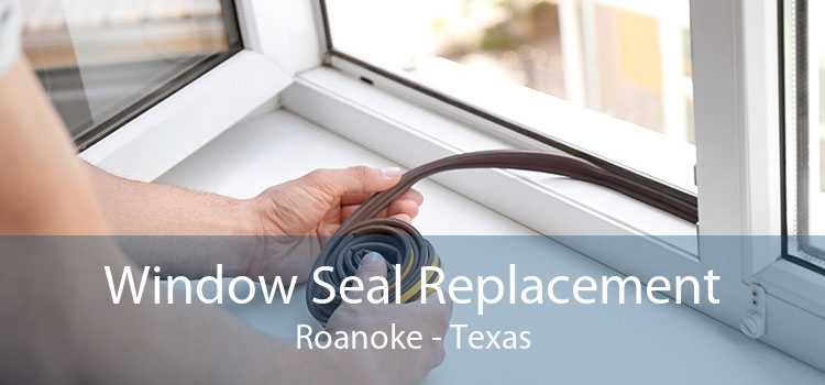 Window Seal Replacement Roanoke - Texas