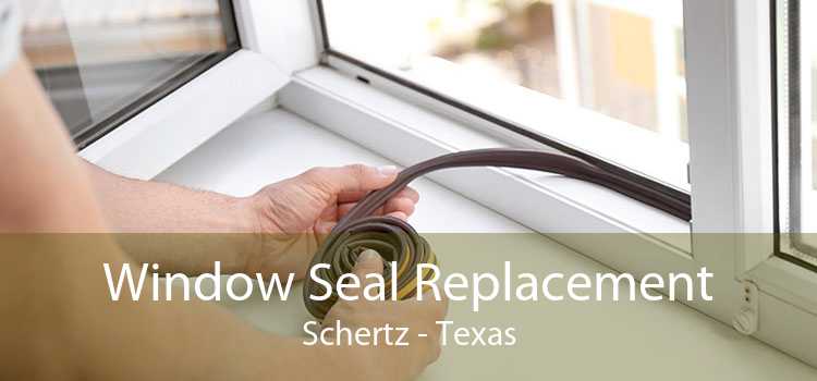 Window Seal Replacement Schertz - Texas