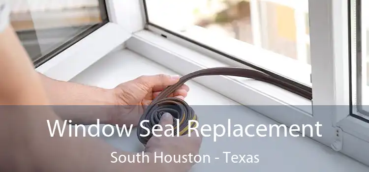 Window Seal Replacement South Houston - Texas
