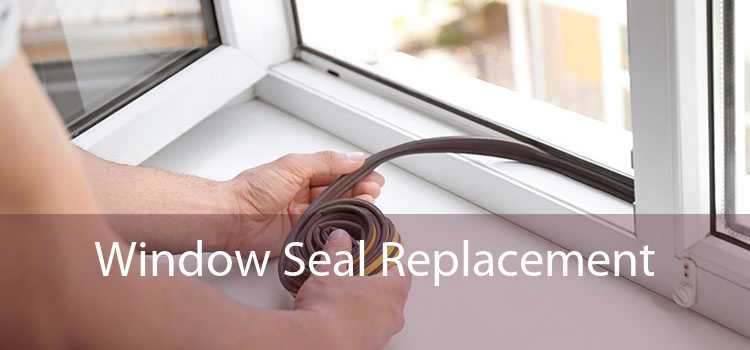 Window Seal Replacement 