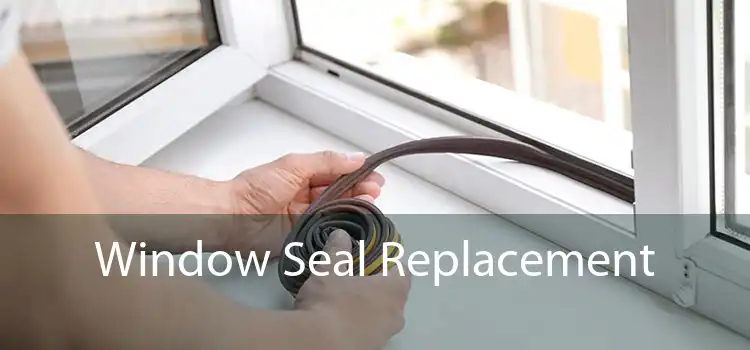 Window Seal Replacement