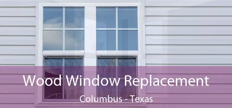 Wood Window Replacement Columbus - Texas