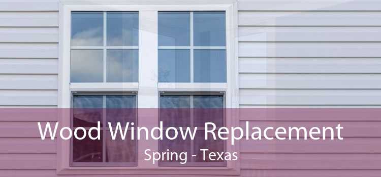 Wood Window Replacement Spring - Texas